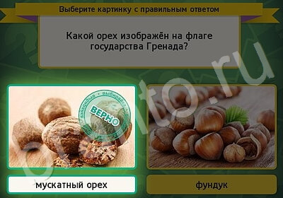 решебник на игру Выбирайка Уровень 5771