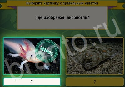 Выбирайка игра ответы Уровень 5773