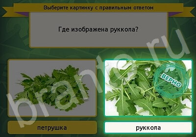 Выбирайка игра подсказки Уровень 5774