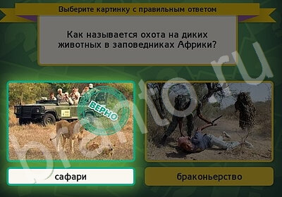 решебник на игру Выбирайка Уровень 5781