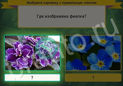 Выбирайка решения Уровень 5782