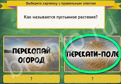 Игра Выбирайка Одноклассники подсказки Уровень 5818