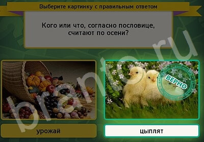 ответы к игре Выбирайка Уровень 5825