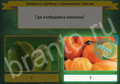 игра Выбирайка ответ на Уровень 5830