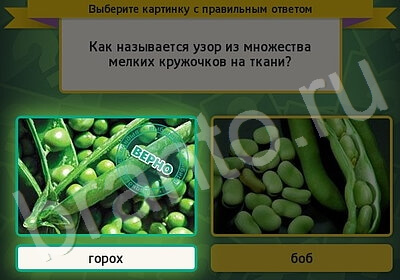 игра Выбирайка помощь Уровень 5839