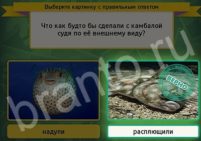 игра Выбирайка ответ на Уровень 5840