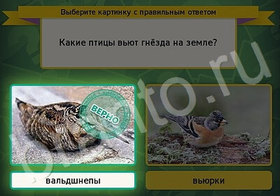 Выбирайка игра помощь Уровень 5845