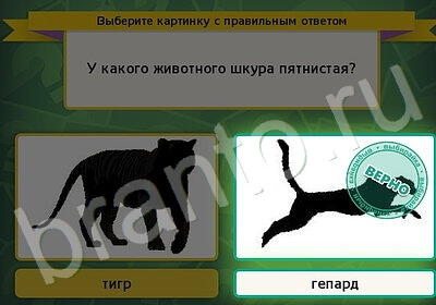 Выбирайка игра помощь Уровень 5865