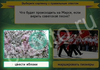 Выбирайка решения Уровень 5872