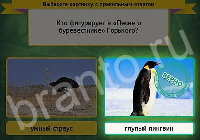 Выбирайка игра подсказки Уровень 5874