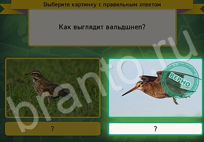 решебник на игру Выбирайка Уровень 5891