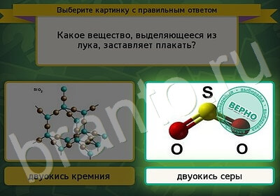 Выбирайка подсказки в контакте Уровень 5919