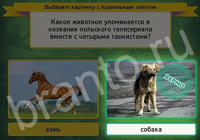 Решения на игру Выбирайка Уровень 5943