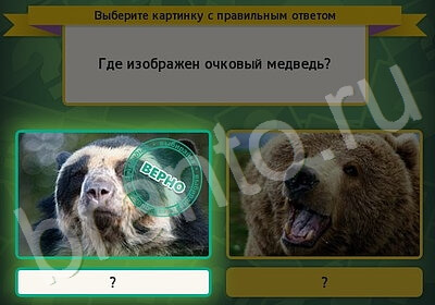 Выбирайка игра помощь Уровень 5955