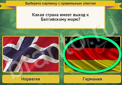 Игра Выбирайка ответы Уровень 5957