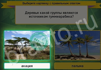 решебник на игру Выбирайка Уровень 5961