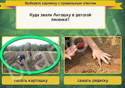 Выбирайка ответы в картинках Уровень 5966