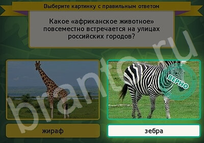 игра Выбирайка ответ на Уровень 5990