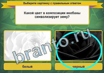 Выбирайка решения Уровень 502