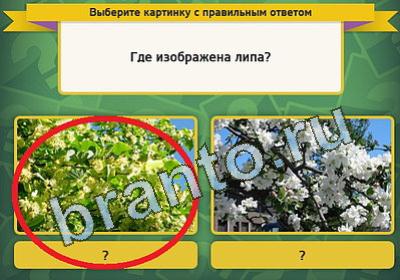 Выбирайка ответы в картинках Уровень 506