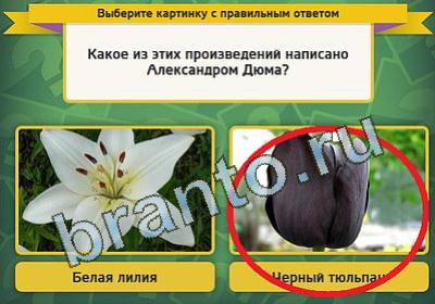 Игра Выбирайка подсказки Уровень 508