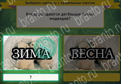 игра Выбирайка ответ на Уровень 6020