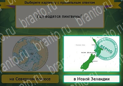 Выбирайка ответы в картинках Уровень 6026