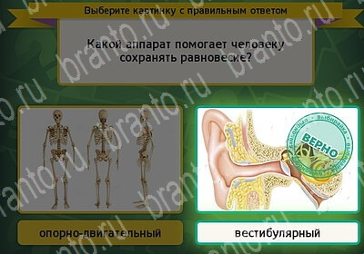 Помощь на игру ВК Выбирайка Уровень 6034