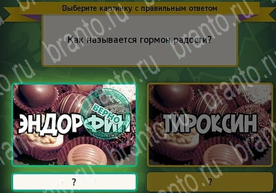 решебник на игру Выбирайка Уровень 6041