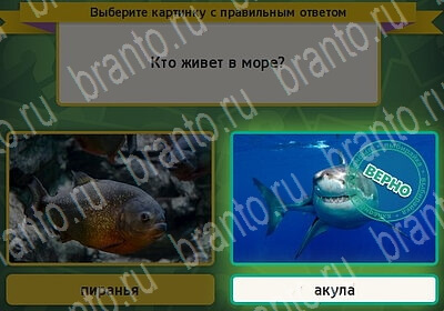 Выбирайка игра ответы Уровень 6043