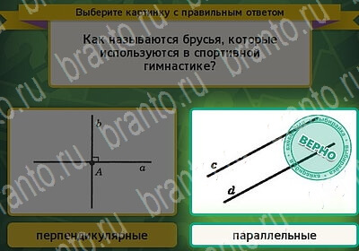 решебник на игру Выбирайка Уровень 6051