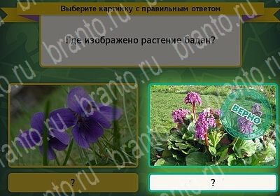 Выбирайка игра ответы в одноклассниках Уровень 6067