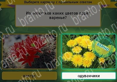 Выбирайка ответы в картинках Уровень 6076