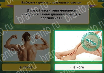 игра Выбирайка помощь Уровень 6079