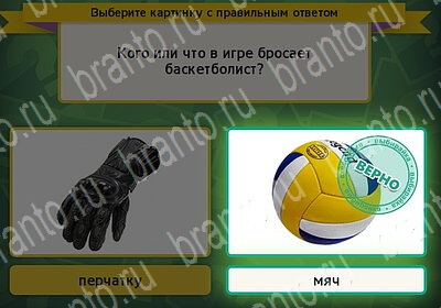 решебник на игру Выбирайка Уровень 6081