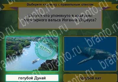 Выбирайка игра ответы Уровень 6083