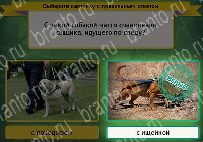 Выбирайка игра ответы в одноклассниках Уровень 6097