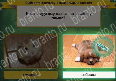 Выбирайка решения Уровень 6102