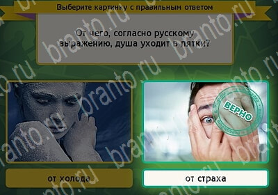 решебник на игру Выбирайка Уровень 6111