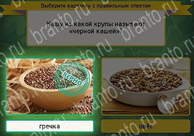 Выбирайка решения Уровень 6112