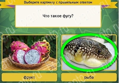 Выбирайка игра помощь Уровень 6115
