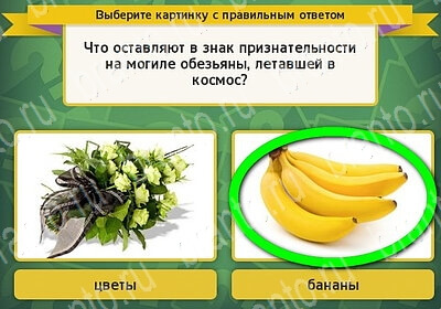 Решения на игру Выбирайка Уровень 6123