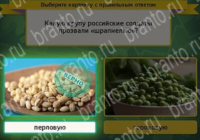 игра Выбирайка ответ на Уровень 6130