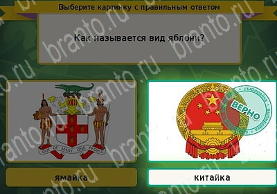 Выбирайка решения Уровень 6132