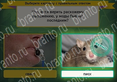 Игра Выбирайка подсказки Уровень 6138