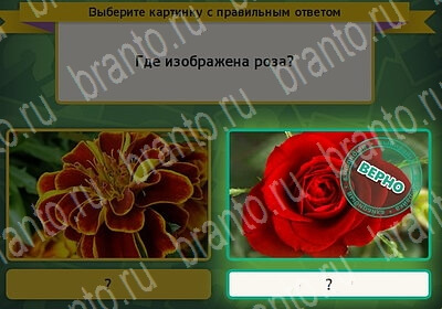 Выбирайка решения Уровень 6142