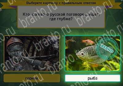 игра Выбирайка ВК помощь Уровень 6149