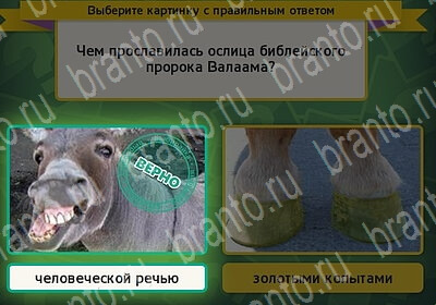 Выбирайка игра ответы в одноклассниках Уровень 6157