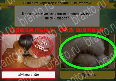 Игра Выбирайка подсказки Уровень 6198