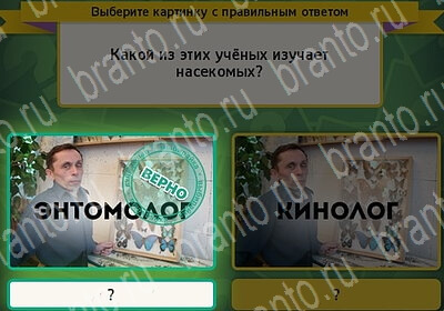 Выбирайка игра помощь Уровень 6205